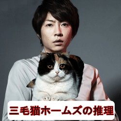 三毛猫ホームズの推理 無料動画 赤川次郎原作 嵐の相葉雅紀の推理ドラマ ドラマ情報館